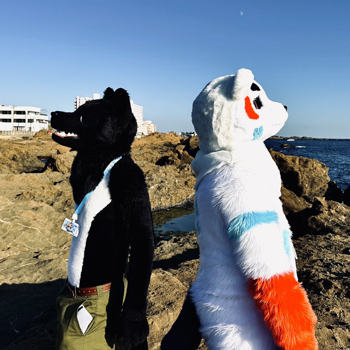 龍が如くチックな配置w

#ケモビーチ3