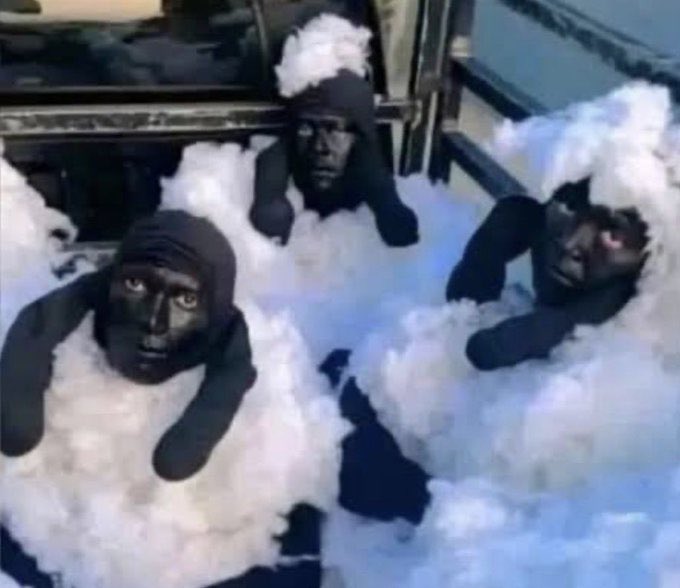 İspanya’ya koyun olarak geçmeye çalışan üç kişi Cezayir’de tutuklandı!