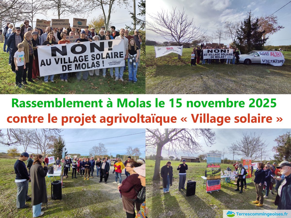 Plus que 3 jours ! Projet agrivoltaïque à Molas : participez à l'enquête publique jusqu'à mercredi 3 décembre 17h. Voici des arguments pour personnaliser votre avis à envoyer par e-mail : terrescommingeoises.fr/?mailpoet_rout…

#agrivoltaïsme #photovoltaïque #biodiversité #Comminges #Occitanie