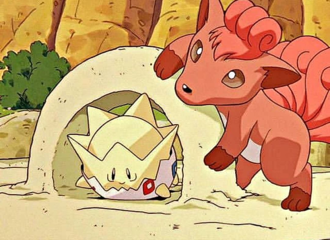 Pokémon Daily tweet media