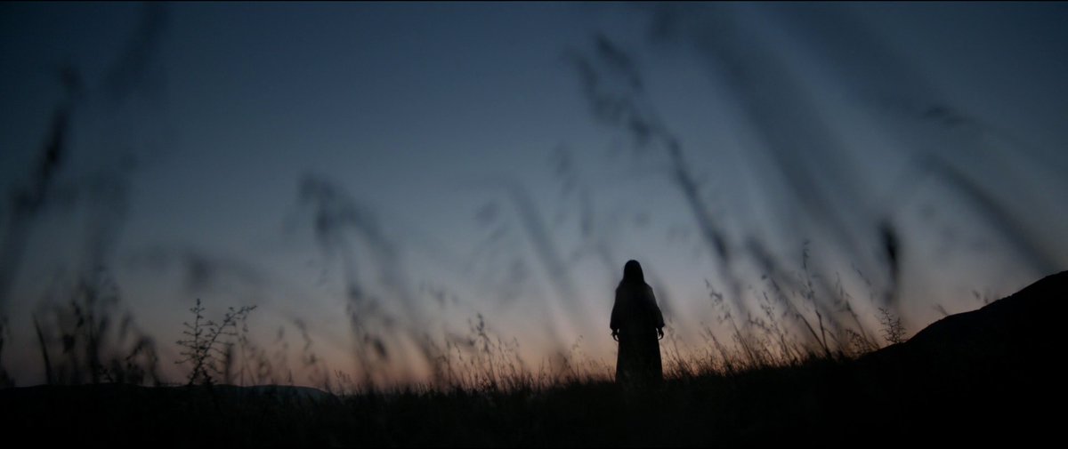 filmfr4me's tweet image. The Revenant (2015)
Director: Alejandro González Iñárritu