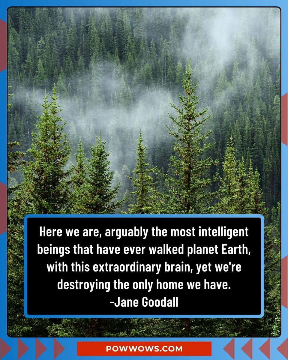 Norstackk's tweet image. :&amp;gt;}_~#StayWoke~~°°°