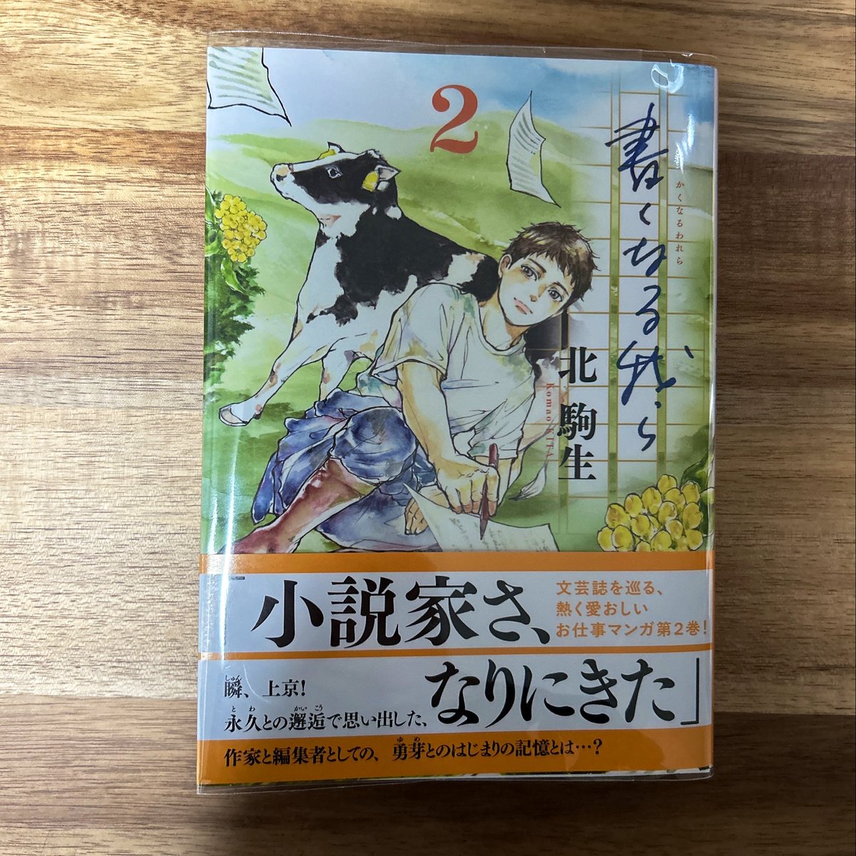 タイトルがさ、「書くなる"我ら"」なのがいいよね 思い出せ書き殴りたかった衝動