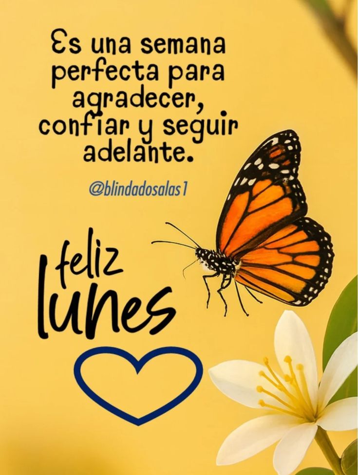 Motivos14185270's tweet image. Que tengas un excelente inicio de semana! 🙏🙏🙏🙏🙏🙏
#FelizLunesATodos 
#FraseDelDía 
#FrasesParaElAlma 
#frasesparareflexionar 
#FelizInicioDeSemana 
#feliziniciodemes