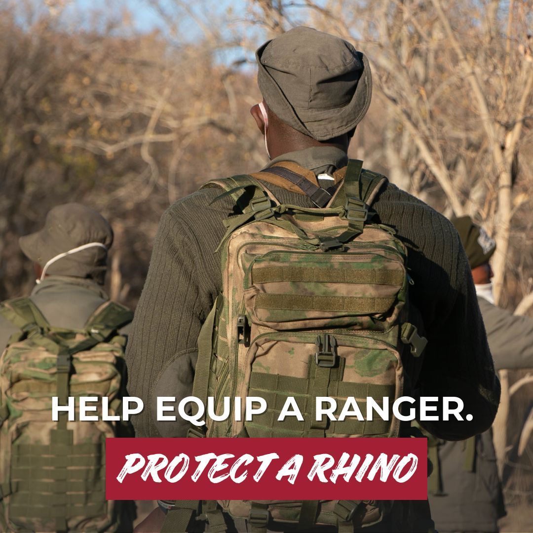 RhinosIRF's tweet photo. Tomorrow is #GivingTuesday, a global day of generosity.
Starting today when you adopt a rhino or choose one of our alternative gifts, you’ll receive a free limited-edition pom-pom beanie as a thank-you.
https://t.co/cUFnDMpNZu https://t.co/V1ZYZxYsx7