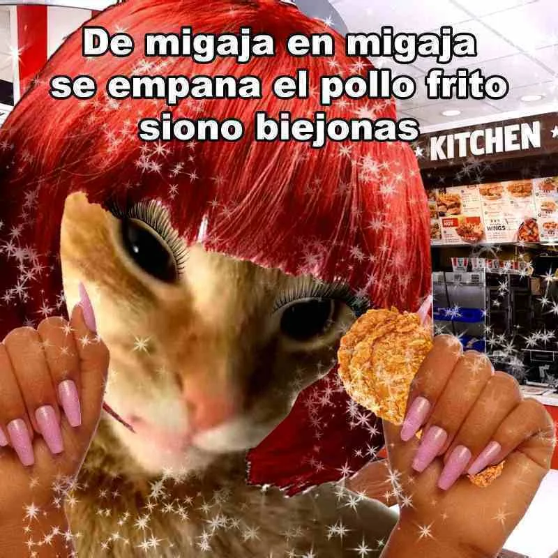 siono mis biejonas migajeras