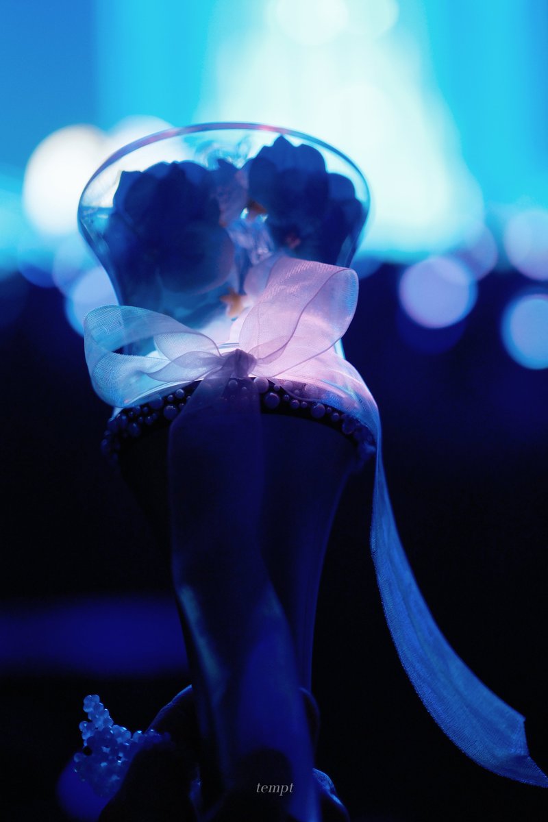 𝓽ꫀꪑρ𝓽 tweet media