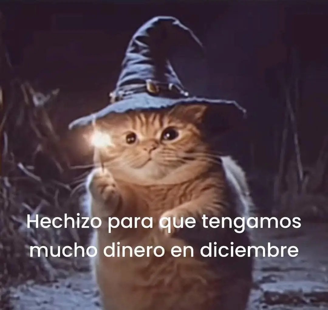 Tiofelino's tweet image. 🪄🐱🐾