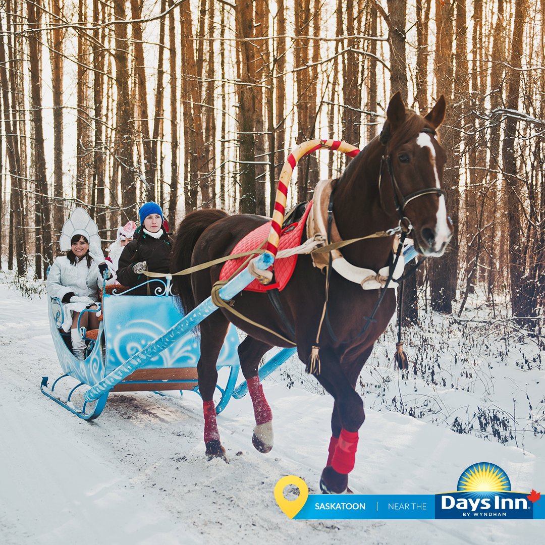 Saskatoon in December is full of seasonal magic! ❄️ Skate the frozen Meewasin River, sled at Optimist Hill, snowshoe at Wanuskewin, then cozy up with a coffee shop hop or a horse-drawn sleigh ride. 

Book your stay at Days Inn! #DaysInn