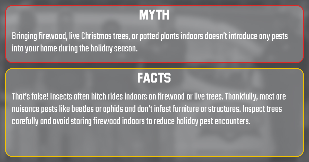 PestChampion's tweet image. MONDAY MYTH BUSTER: Happy December! 🎄 Time for trees and yule logs and...hitchhikers? 🪳 #pestcontrol #centralohio #christmas #december