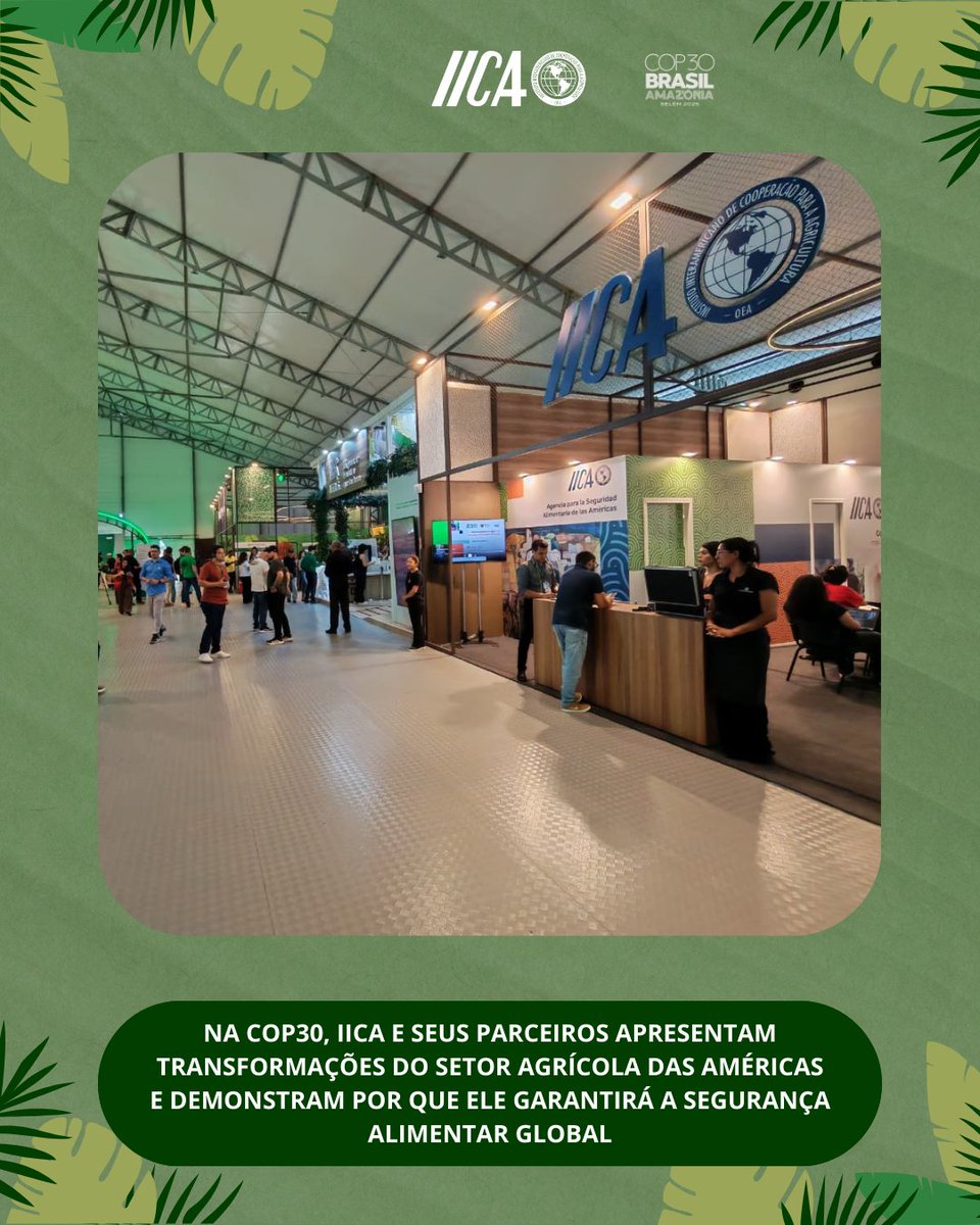 iicabrasil's tweet photo. 🌱✨ Na #COP30 do Brasil e da Amazônia, o #IICA mostrou ao mundo como a agricultura das Américas está se transformando para garantir a segurança alimentar global.

Confira tudo que aconteceu no pavilhão do IICA: https://t.co/H9HtAP8uSC

#IICA #COP30 #AgriZone https://t.co/yaqOvCxn0T