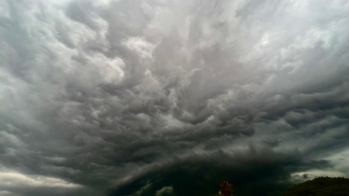ReenvalSA's tweet photo. #GARSFONTEIN, #PRETORIA, $GAUTENG
📷Gert Fourie https://t.co/fe6dmTivHX