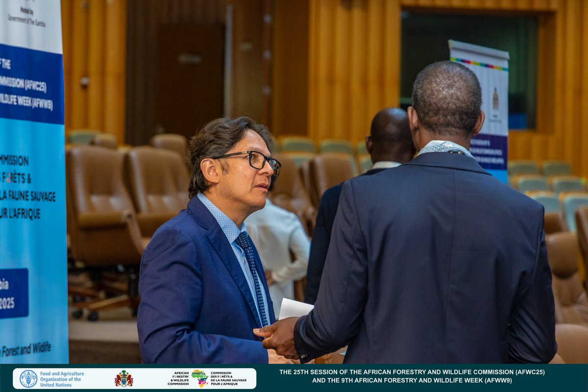 H.E. <a href="/OVP_gm/">Office of The Vice President - The Gambia</a> officially opens the 2⃣5⃣th Session of the African Forestry &amp; Wildlife Commission &amp; 9⃣th African Forestry &amp; Wildlife Week.

A week of dialogue begins on innovative, inclusive management of Africa's natural heritage. 

200+ delegates, one mission = saving 🌍

#AFWC25