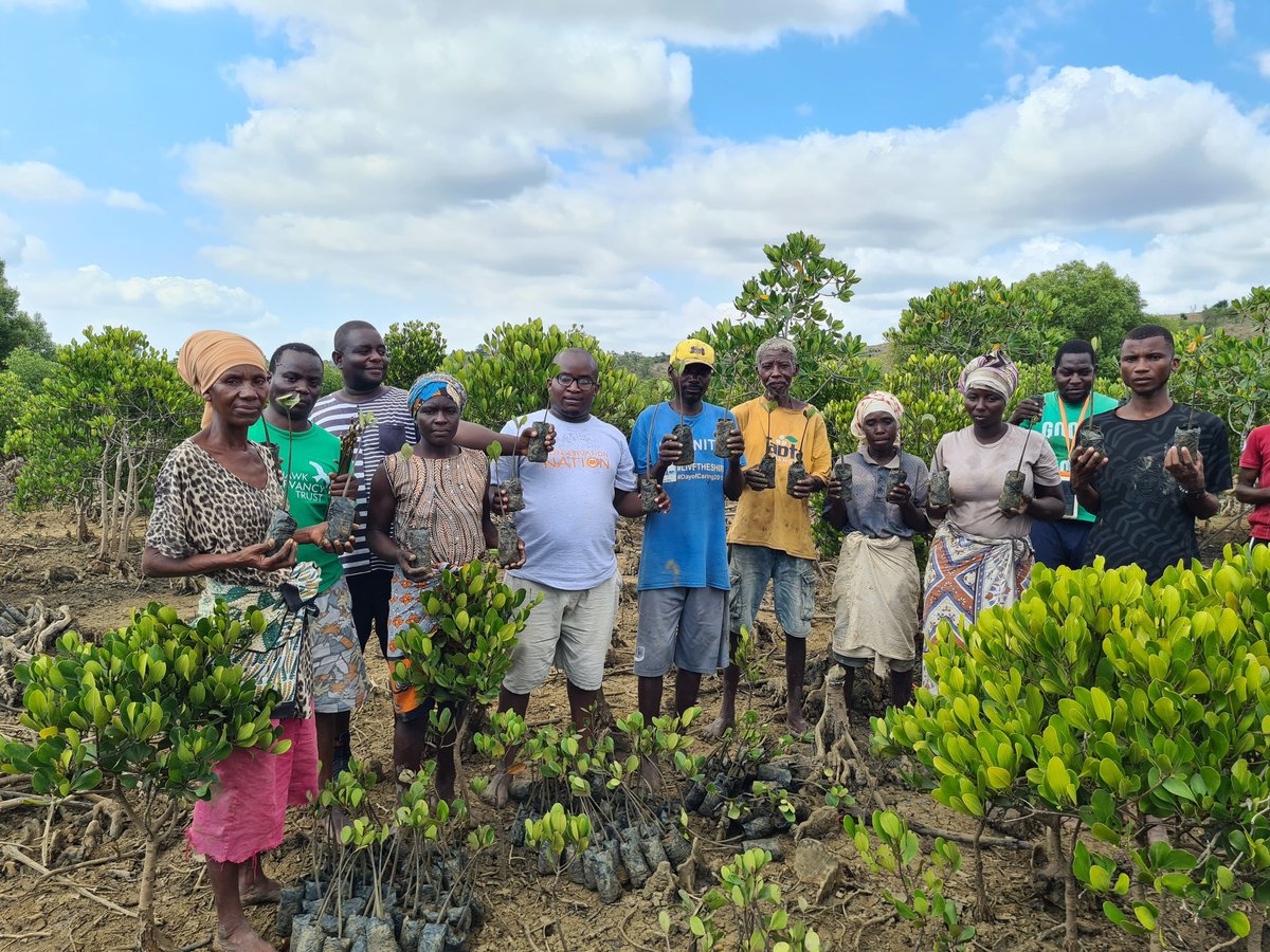 FredKio57975244's tweet photo. 🎉 HUGE! 8,000 mangrove seedlings planted with Kidongo community! 40% of our 20K goal achieved with @conservationnation support. Community conservation delivers results! 🌱🌊 #ConservationNation #8000Seedlings #MangroveRestoration https://t.co/1b85FhcHbd