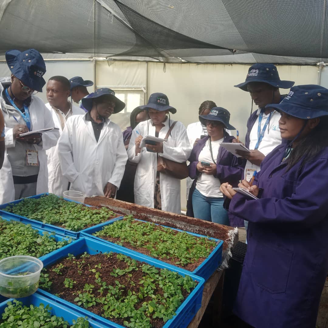 SafeInclusion's tweet photo. #SafeInclusion is in Nairobi for the #FIPSAfrica 2025 Forum! From 24 Nov. to 3 Dec., we are joining forces with leading African experts to boost cooperatives, propel young entrepreneurs and reinvent food systems.
#SustainableAg #FoodSecurity #Unicef #pamburundi #DigitalGreen https://t.co/V6jvwfsU7j