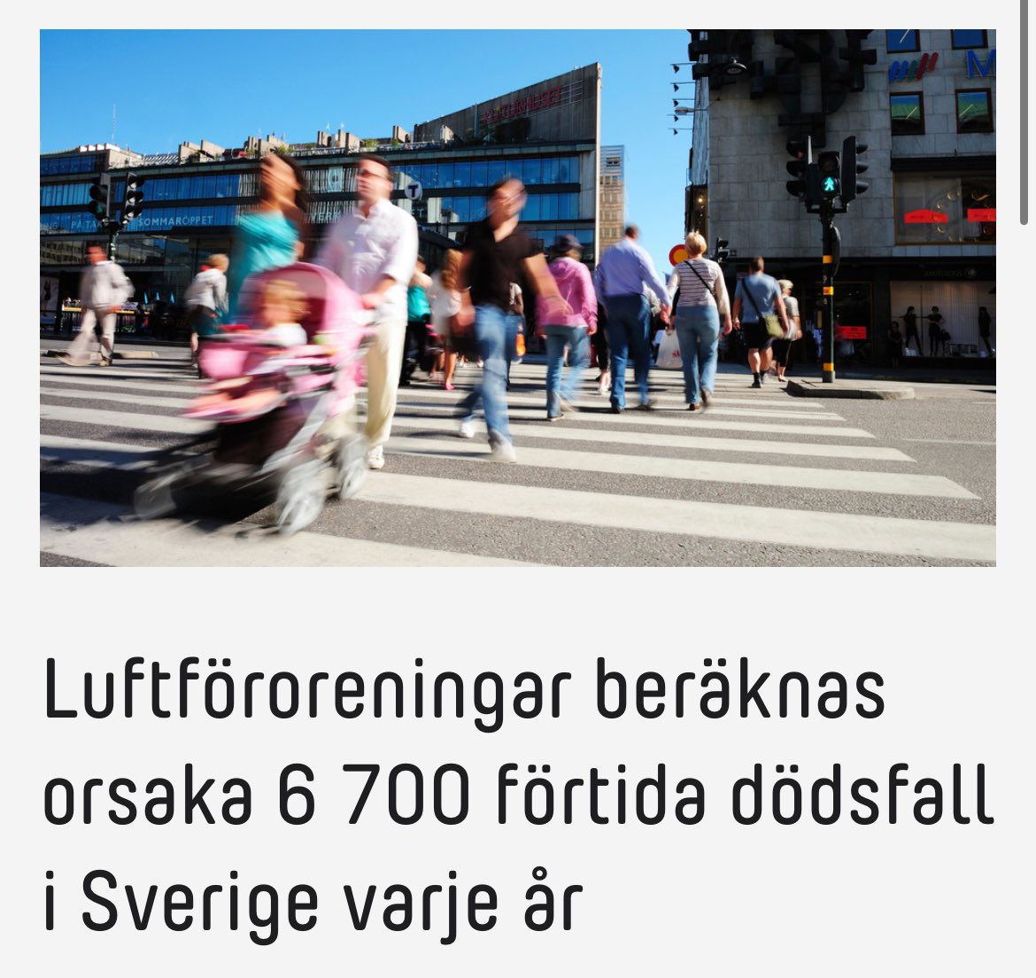 Ludwig Uller tweet media