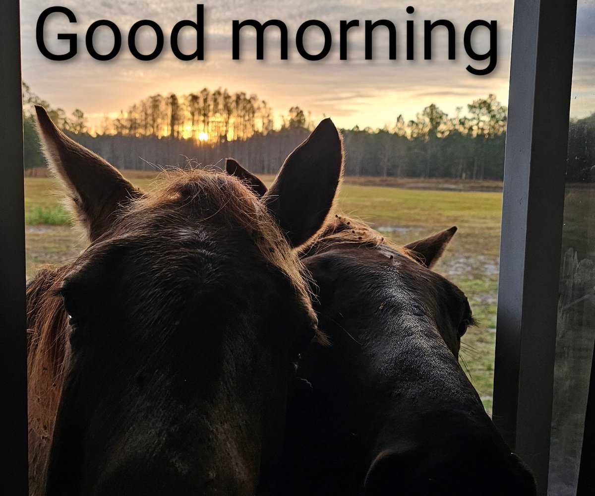 Eric Ryan Anderson tweet media