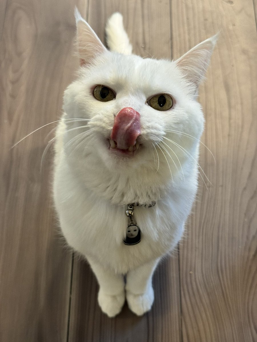 ハク様 (@hakusama0906) / Posts / X