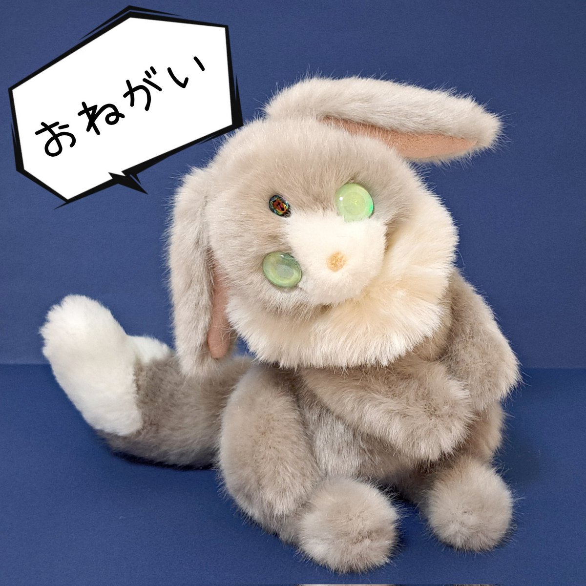 まめこ (@Mamekonokomame) / Posts / X