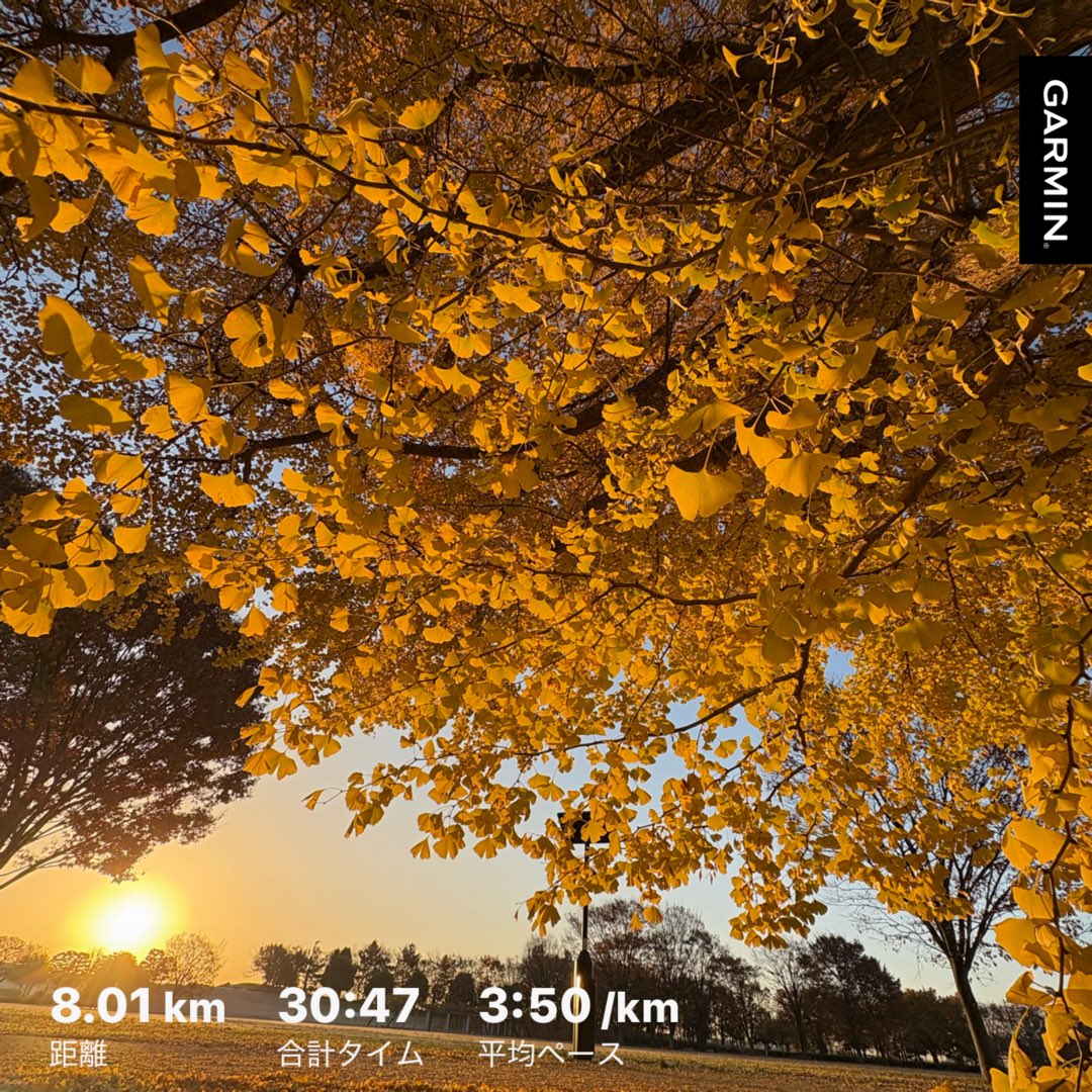 11月はおかやまマラソンで危機感を抱き、一念発起して翌日から5日休み🤣
とはいえ10月は300km強しか走ってなくてモチベダダ下がりだったから、目が覚めて良かった😳
最近は距離走ってるけど、体重もSP持久力も目標とは程遠い_(:3 」∠)_
市販のチルド🍜2人前食べただけで2kgとかすぐ肥えるし🐽🐖