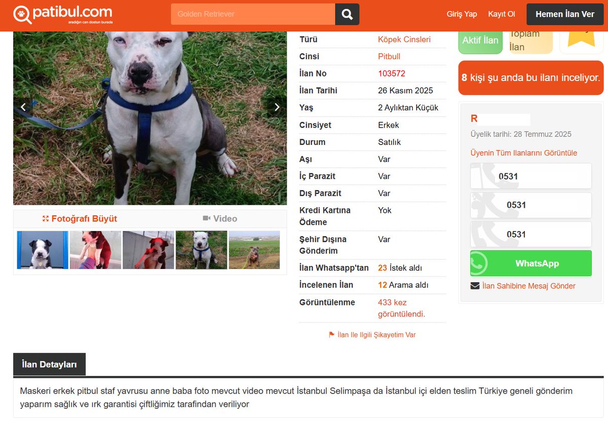 SehirlerGuvenli's tweet image. Pitbull cinsi köpeğin üretimi ve satışı yasak.

İnternet üzerinden telefon ve adres bilgisini bile gizleme gereği duymadan satmaya devam ediyorlar.

Sn. @bekir_kaplan bu siteye yaptırım uygulamanız gerekmiyor mu? 

Yasaklı ırk için ayrı kategorileri bile var.

@Akparti @tcbestepe…