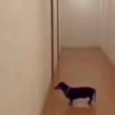 fredr_mk's tweet photo. @vibxz55_MK Live footage of @Ryan_Tinney3  after you said that https://t.co/h4md8M0fEv