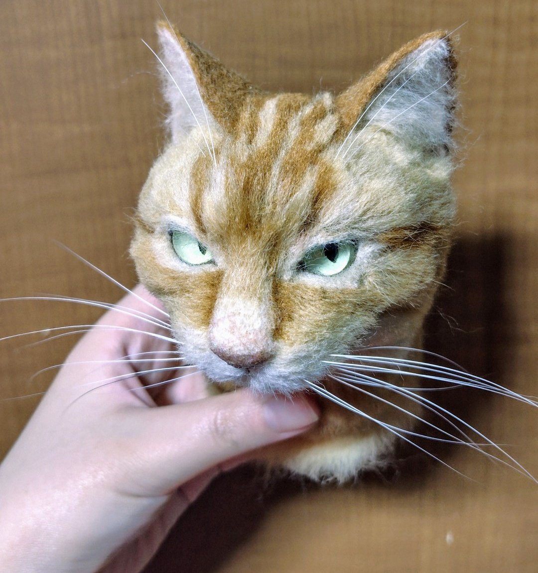 ミカン (@jDfnoawBliNVTl8) / Posts / X