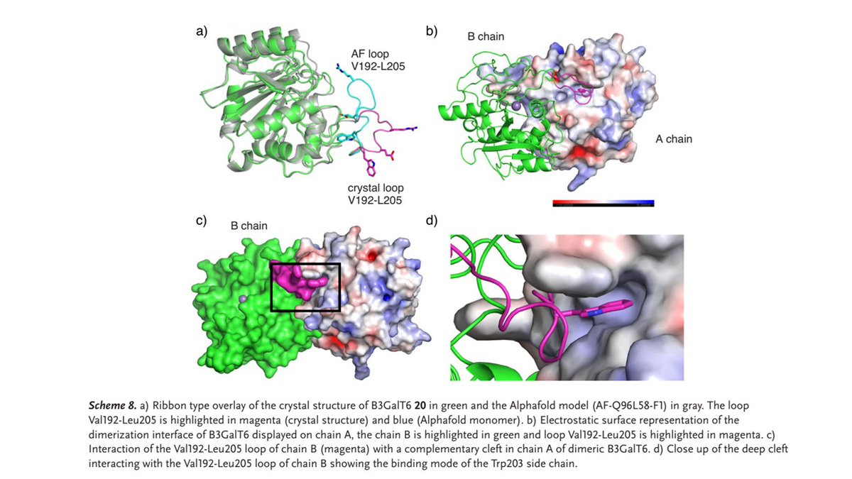CzerwinsMarcin's tweet photo. Proteoglycan linkage region glycosyltransferases B4GalT7, B3GalT6, B3GlcAT-1 are dimeric and show promiscuity towards complex type N-glycans. B3GalT6 is a covalent dimer linked by a disulﬁde in the center of the large dimerization domain. https://t.co/EHHOSW4L06 
#glycotime https://t.co/ylSRoHEyuw