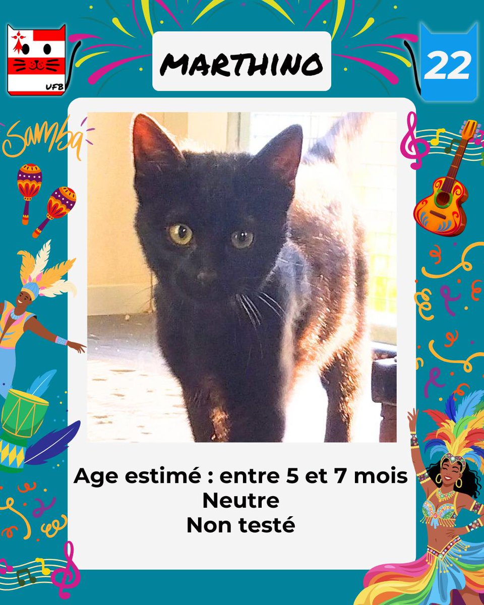 En Fourrière en Bretagne dans le département 22
j'ai été trappé, car non identifié.  
Je suis à ADOPTER pour me sortir de cette fourrière   
mais avant le 05/12/2025  
Renseignements:  
Faire un message à Urgences Fourrières de Bretagne    
Lien
➡️facebook.com/urgencesfourri…