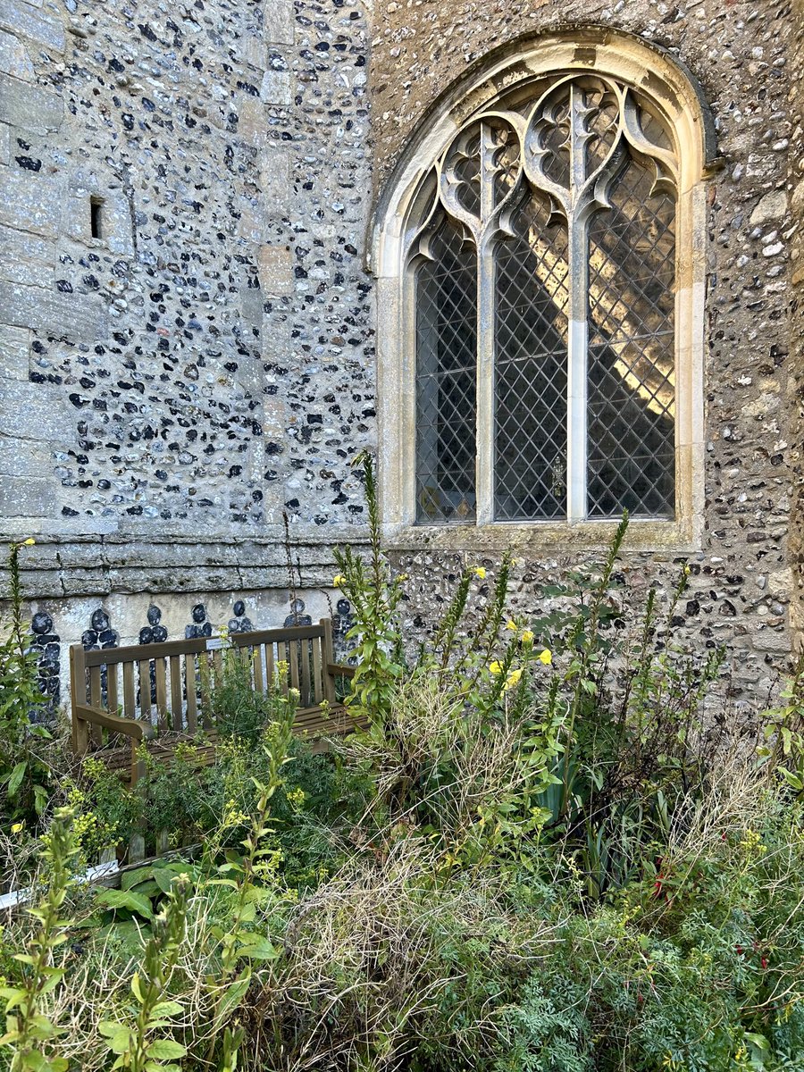 McindoeSue's tweet image. #AlphabetChallenge #WeekWForWindow