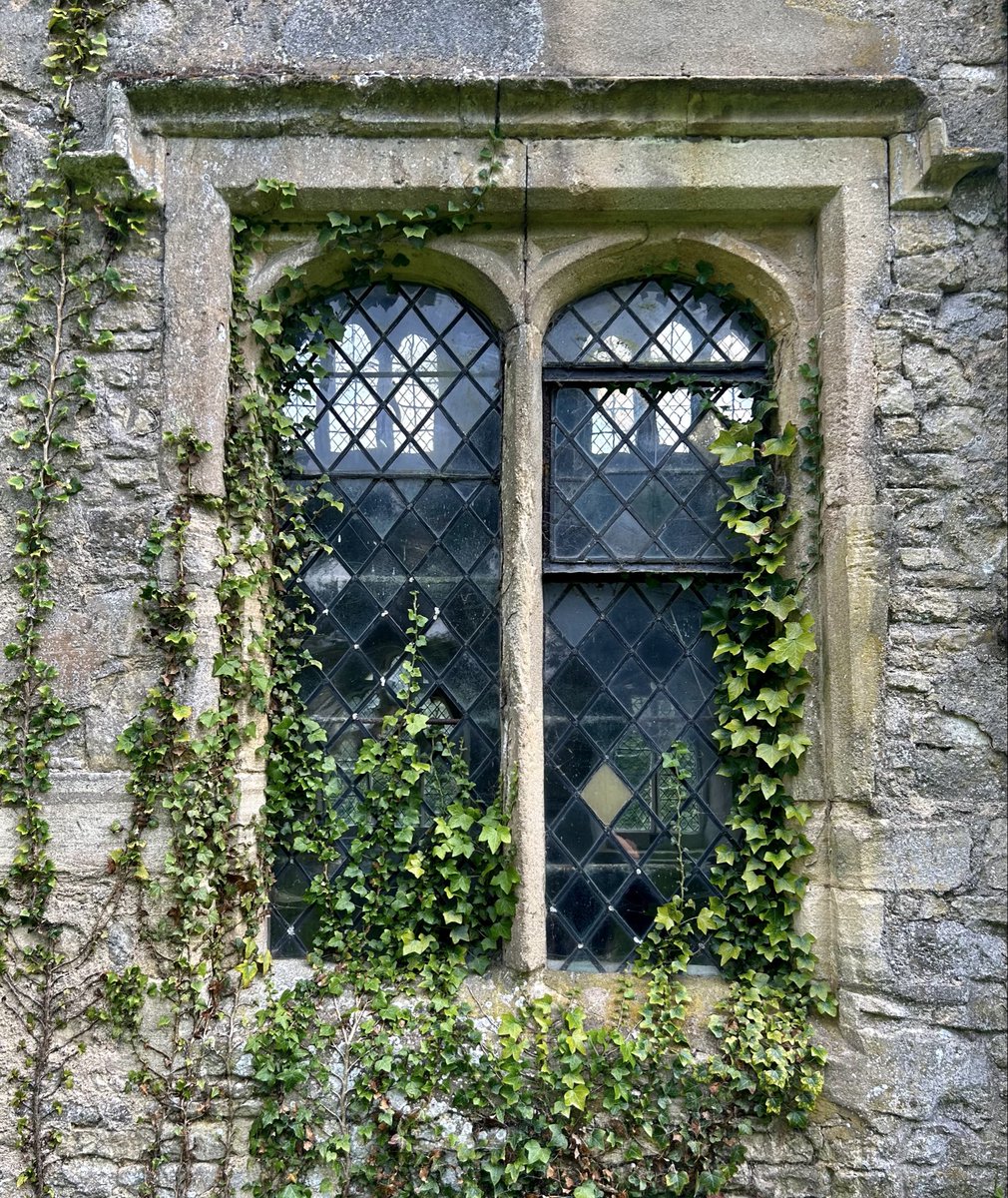 McindoeSue's tweet image. #AlphabetChallenge #WeekWForWindow