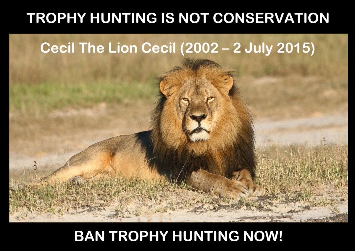 Protect_Wldlife's tweet image. Trophy Hunting Is NOT Conservation!

Would you support a WORLDWIDE BAN on #TrophyHunting?