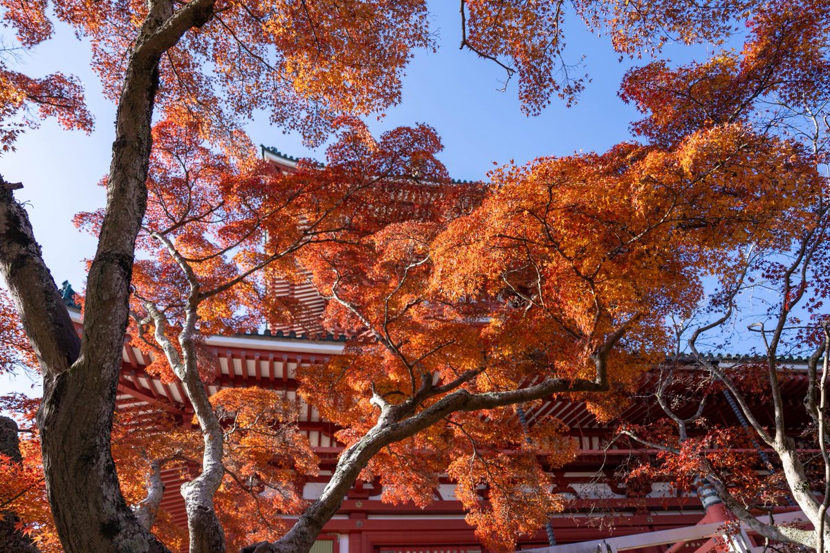 成田山公園