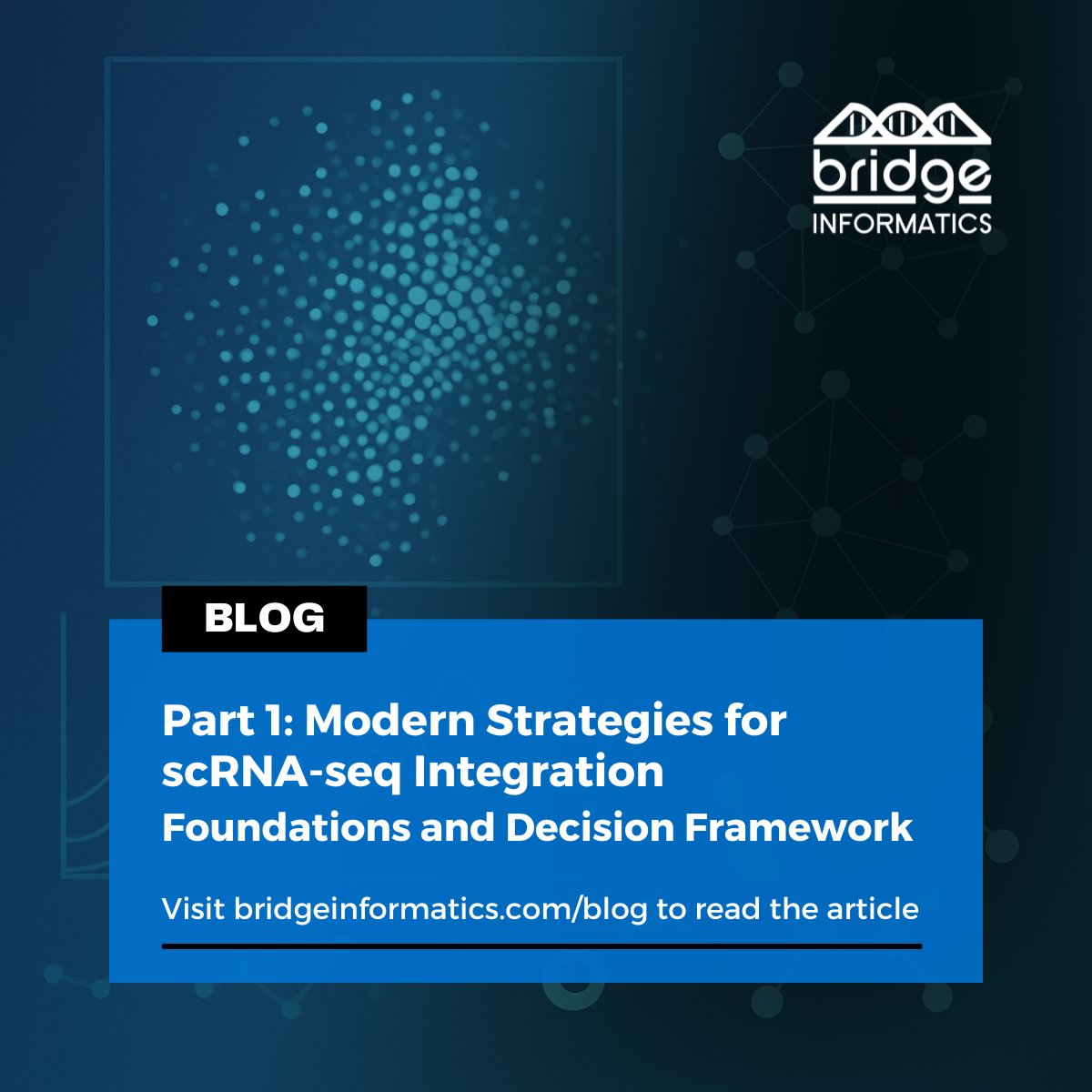 Bridge_Info_USA's tweet image. Today&apos;s blog breaks down the strengths, limitations, and decision points bioinformaticians face when integrating public + internal datasets. Check out the first article in a two-part series on modern strategies for #scRNAseq Integration: bridgeinformatics.com/part-1-modern-…
#Bioinformatics