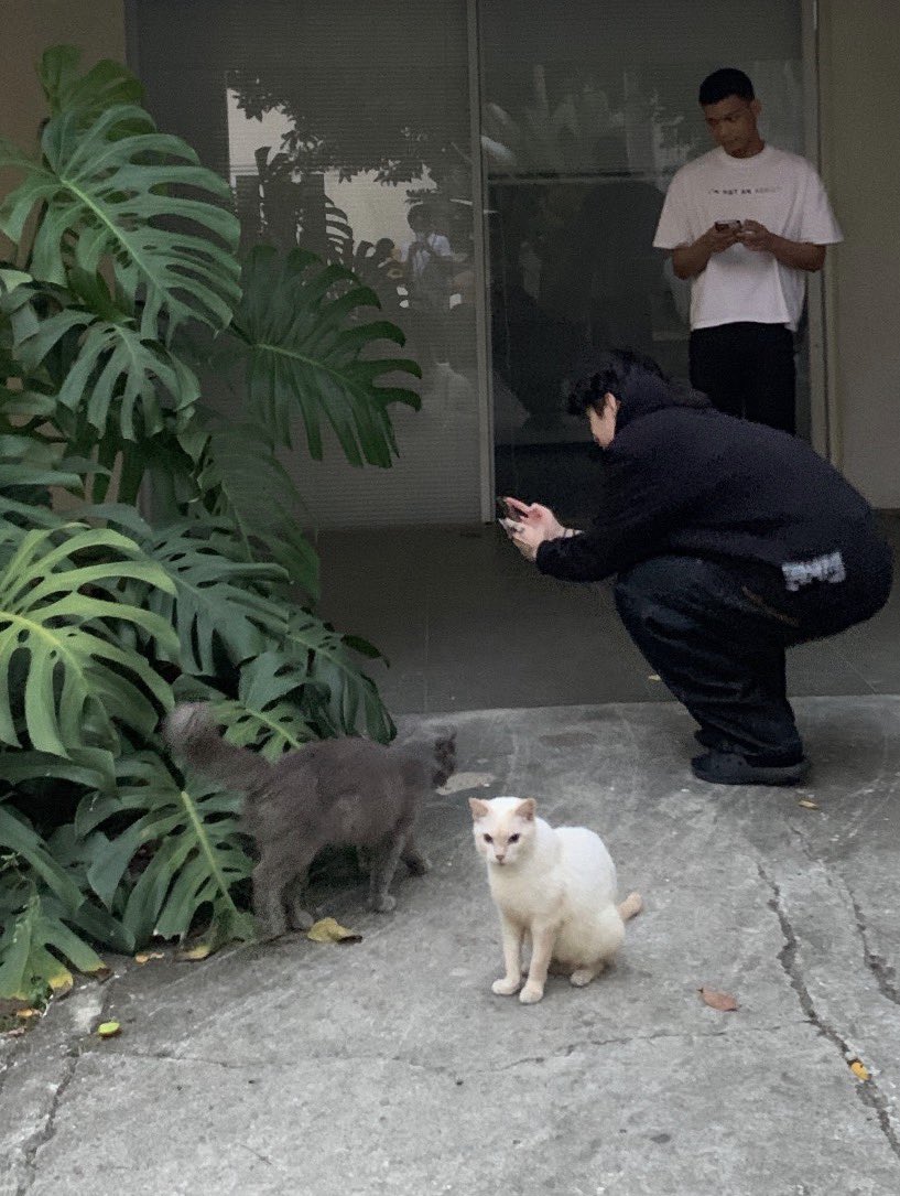 pepapepi72's tweet photo. Jae taking
 a picture.                   The picture 

　𑁊^. .^𑁊💟･.｡*

#Jae #eaJPark #eaJ https://t.co/NpMGSQ74zC