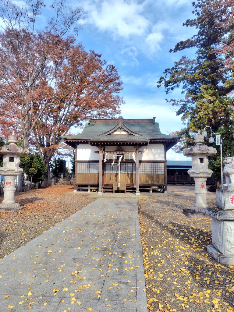 秋空の青さに誘われて、つくば市苅間にある八坂神社まで散歩してきました。風に吹かれてハラハラと散っていく銀杏の落ち葉が綺麗ですね。