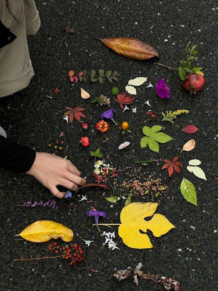 little pieces of nature