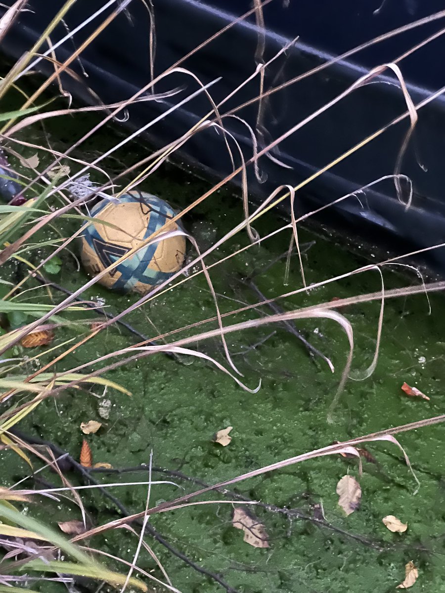 FUTSALJAM's tweet image. Futsal@jam Advent calendar 
DECEMBER 01st