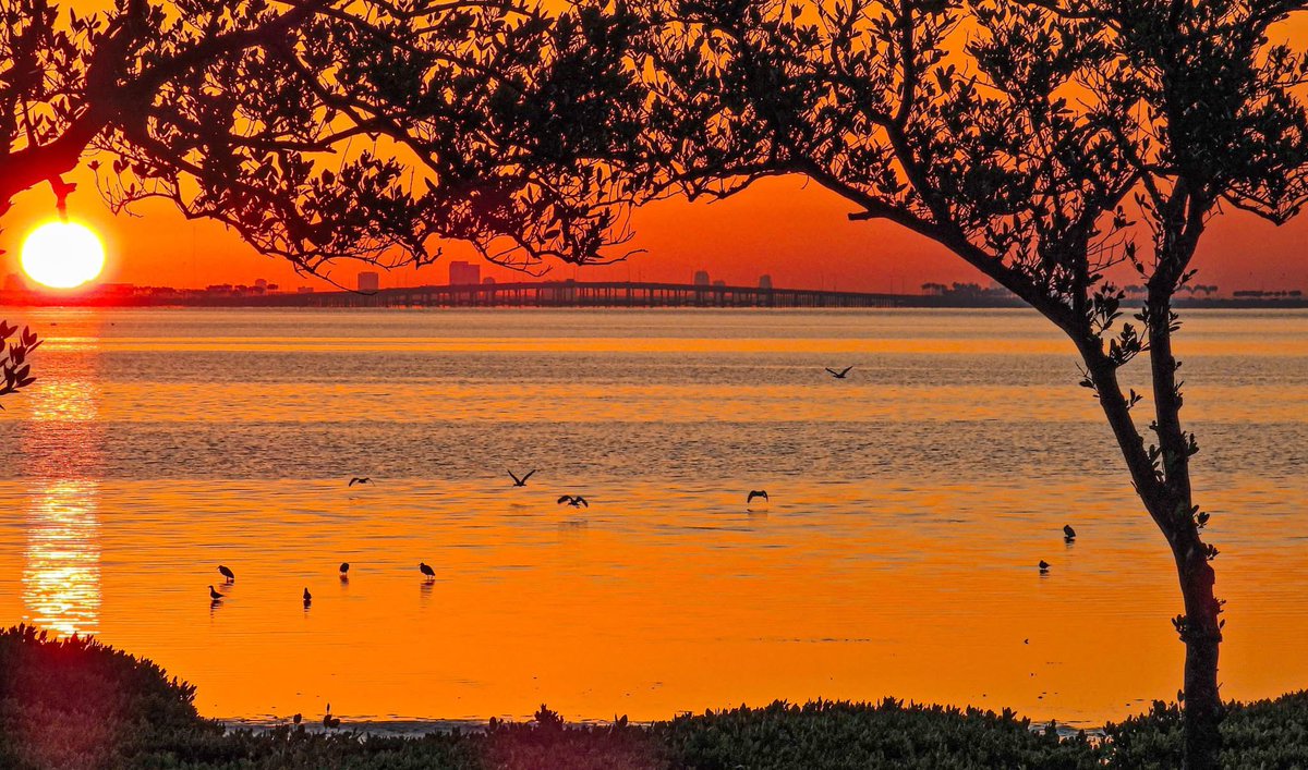 Morning friends! #MondayVibes #MondayMorning #MondayMood