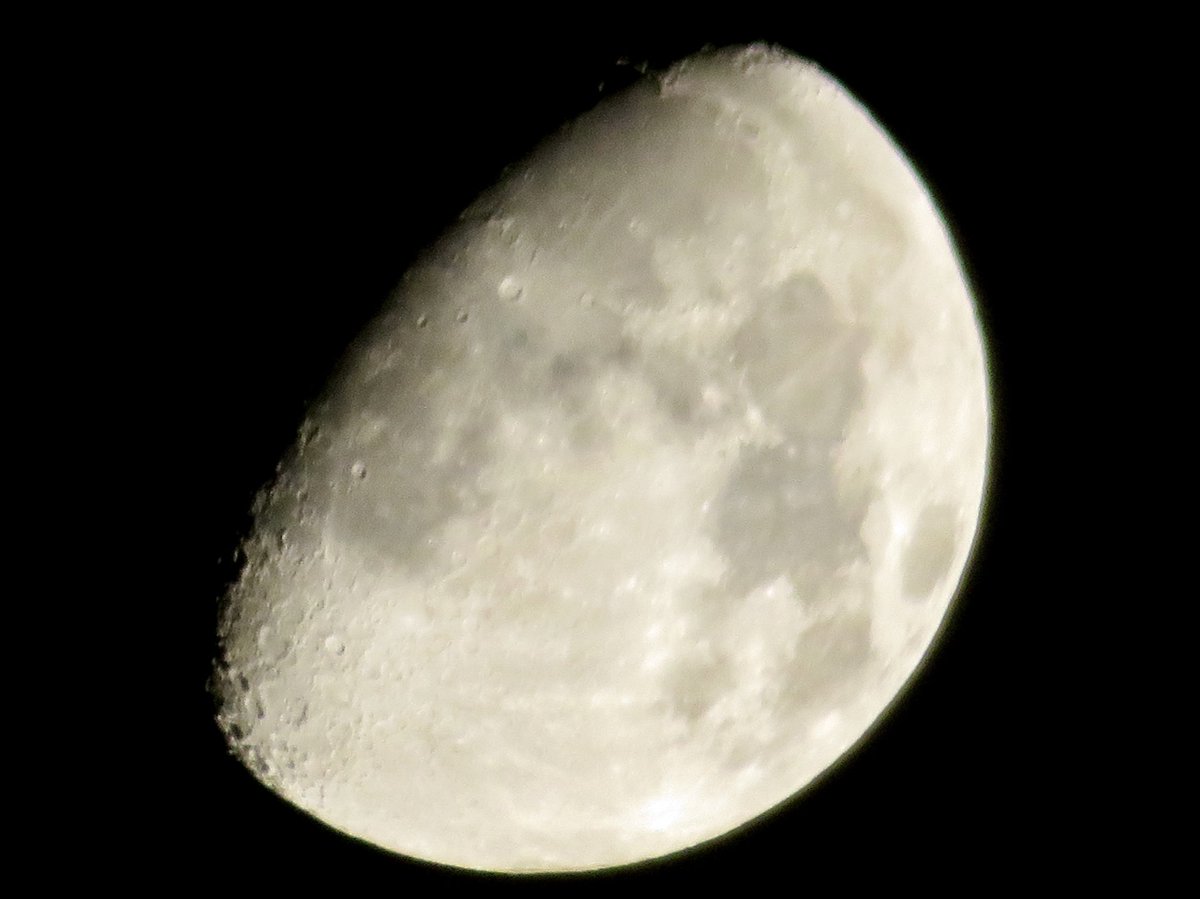 「今宵の月🌕」(ころころ🐼継承)

12月の夜空に鮮やかに輝いている天体
月は地球に一番近い天体でその引力は
私達の母星,地球に影響を与えています
月の引力によって海水が引っ張られて潮の満ち引きが起こります。
月って見れば見る程考えば考える程不思議
ですね
2025.12.01PM9:30埼玉県某所にて撮影