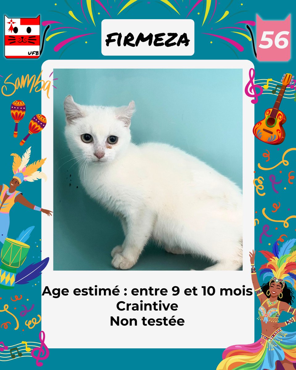 En Fourrière en Bretagne dans le dépt 56 
j'ai été trappée, car non identifiée . 
Je suis à ADOPTER pour me sortir de cette fourrière  
mais avant le 05/12/2025   
Pour Renseignements:  
Faire un message à Urgences Fourrières de Bretagne   
Lien ➡️facebook.com/urgencesfourri…