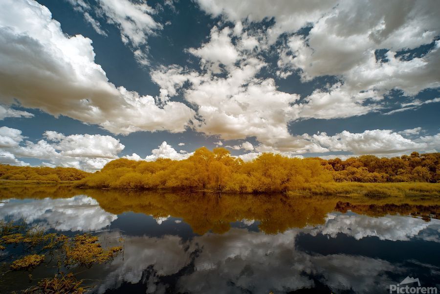 ImagesByJonEvan's tweet photo. Photography can bring a dramatic flair to any living space, capturing the raw beauty of nature. #artists #artinspo #artsanity #artforthewin #artlife #originalartwork #artfeed #lifeofanartist #expressiveart  https://t.co/wE7A1uxNtG https://t.co/Ve21AJEgmt