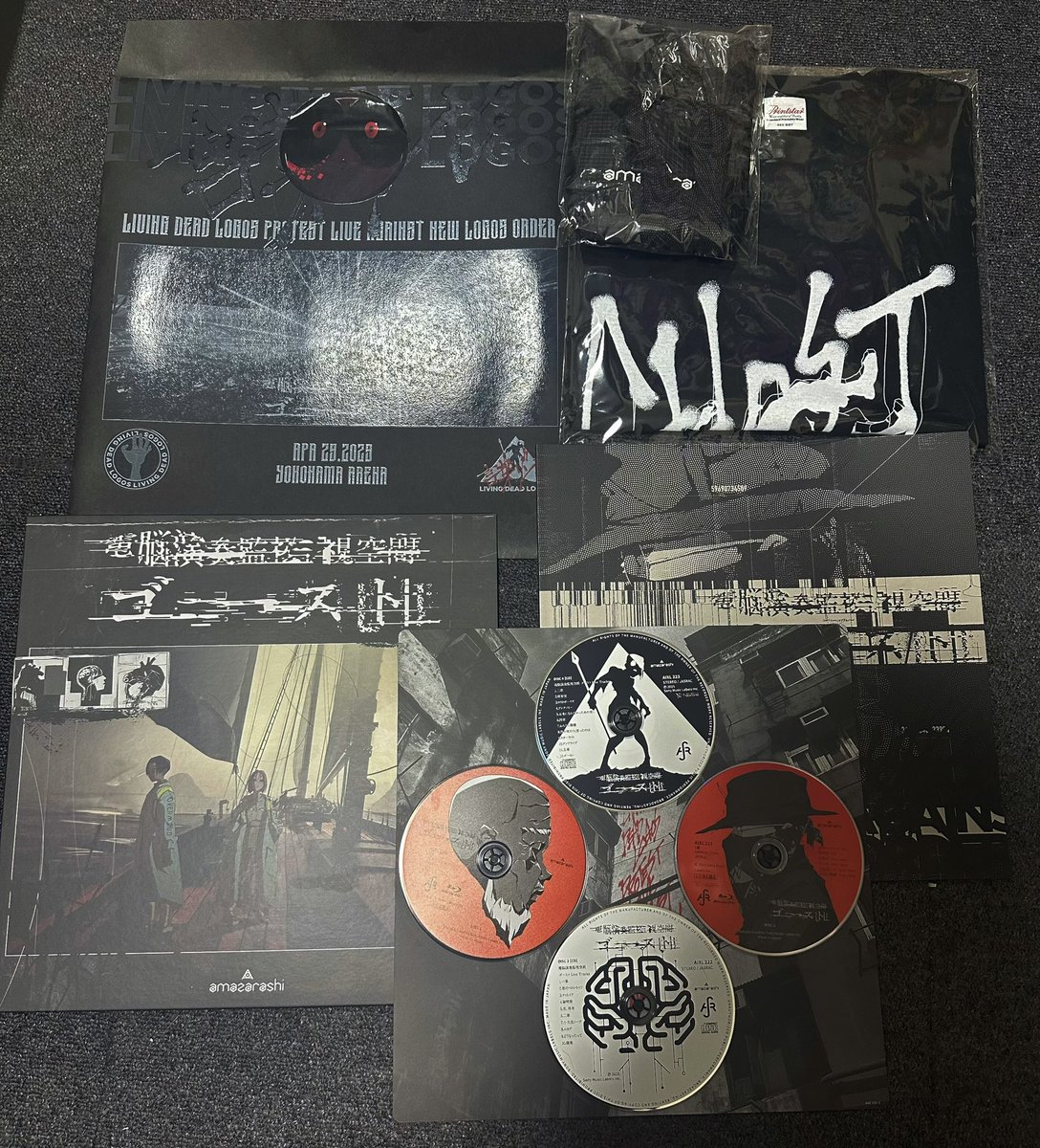 配信お休みだから絶対amazarashiを接種するんだと決めていて、ゴースト