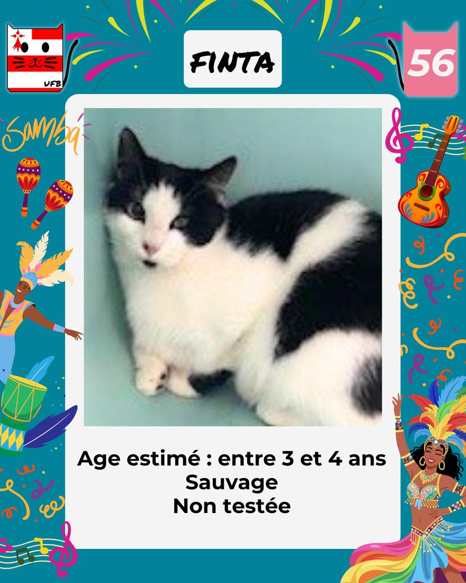 En Fourrière en Bretagne dans le dépt 56  
j'ai été trappée, car non identifiée .
 Je suis à ADOPTER pour me sortir de cette fourrière  
mais avant le 05/12/2025   
Pour Renseignements:   
Faire un message à Urgences Fourrières de Bretagne   
Lien ➡️facebook.com/urgencesfourri…