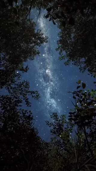 artindetails's tweet photo. reach for the stars https://t.co/nu8aFTDN7C