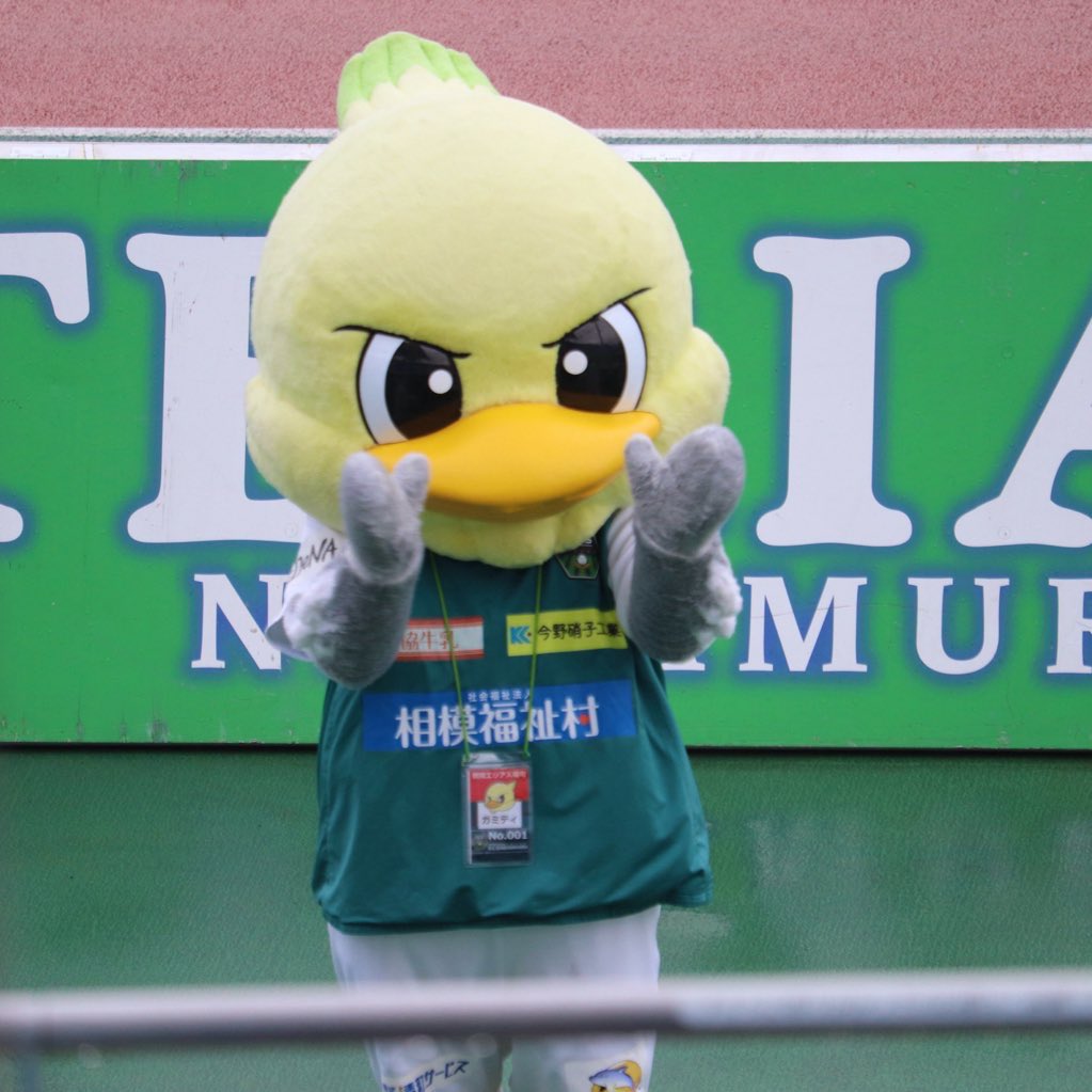 MarchingN0709's tweet photo. 今年もありがとうございました🐥⚽️
仕事の都合であんまり試合行けなかったですが、みなさんありがとうございました☺︎
人生で1番辛いと言っても過言でもない国家試験を乗り越えられたのは紛れも無く拓実たちの頑張る姿のおかげです（本当だから声を大にして言いたい！）
また、来年！
#SCS #SC相模原 https://t.co/783aqhFRDg