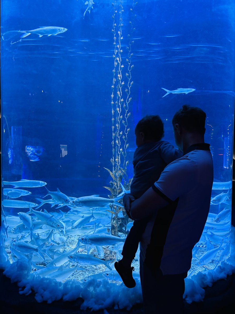 Every night the same guy would walk into my bar.

40. Divorced. No kids.

He'd order a Budweiser and hang around waiting for people to come to the bar to talk to.

Every night. 

Finish work. Go drinking. Hope for a conversation.

I was 22 at the time.

But I saw myself in him.