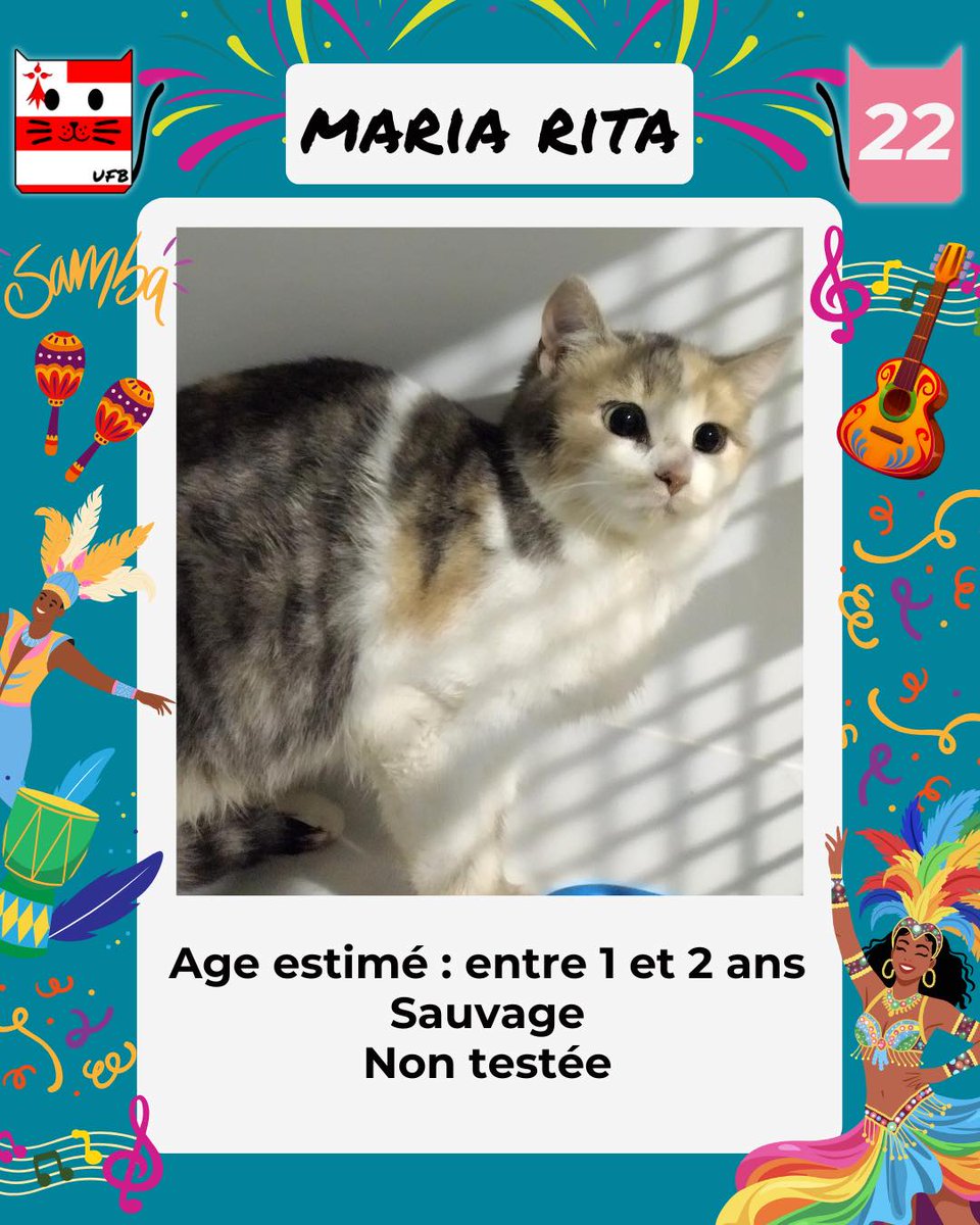 En Fourrière en Bretagne dans le dépt 22   
j'ai été trappée, car non identifiée . 
Je suis à ADOPTER pour me sortir de cette fourrière 
 mais avant le 05/12/2025   Pour Renseignements:   
Faire un message à Urgences Fourrières de Bretagne  
 Lien ➡️facebook.com/urgencesfourri…