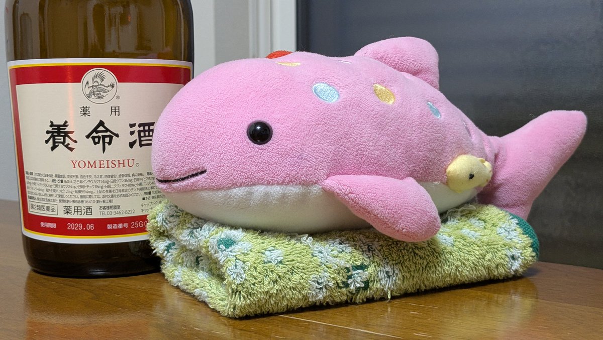 まめたん (@lapin145) / Posts / X