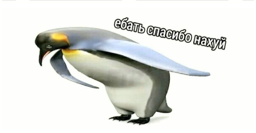 дико устала
зашла домой, лежу и не двигаюсь
параллельно болтаю с Алисой

и чёт разговор зарулил в область фобий, случился диалог:
- ...ты только ночью не разговаривай, Алис, а то я итак темноты боюсь
- хорошо)) тогда не смотрите в окно ночью 🙃